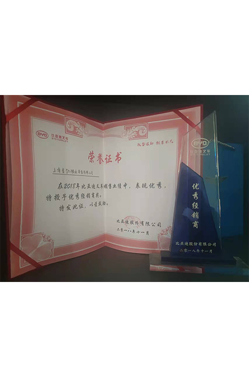 徐汇区比亚迪2018优秀经销商